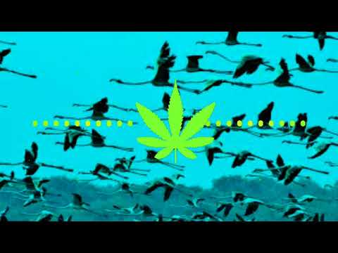 #RYAN23_X__XED_-_XXXTENTACION_CHANGE