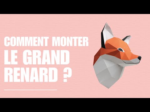 Petit renard - vidéo de présentation
