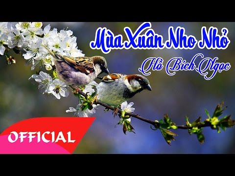 Mùa xuân nho nhỏ - Hồ Bích Ngọc