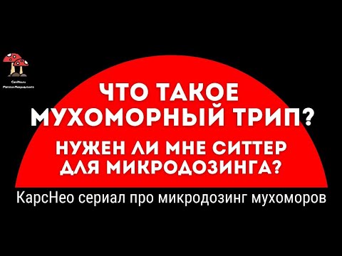 🍄 13 СЕРИЯ: ЧТО ТАКОЕ МУХОМОРНЫЙ ТРИП И НУЖЕН ЛИ МНЕ СИТТЕР ДЛЯ МИКРОДОЗИНГА?