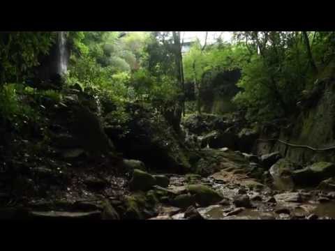 バーチャル散策　鳴川千光寺エリア