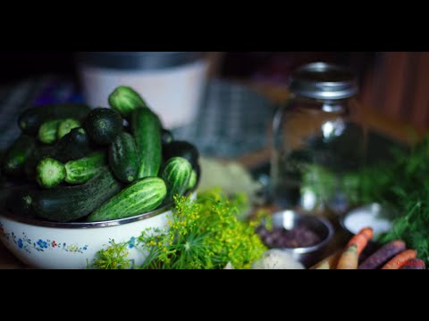 Ask the Expert: How to Store Cucumbers | Cooking Light