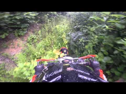 Campbell's Creek 6 20 2015