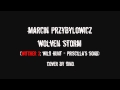 Marcin Przybylowicz - Wolven storm (Witcher: Wild ...