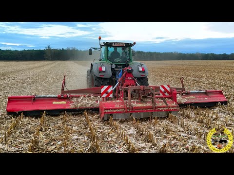Fendt 936 Vario beim Maisstoppel Mulchen | Sauerburger Pegasus 9500 Mulcher Kombination
