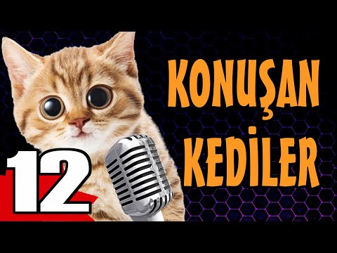 Konuşan Kediler 12 - En Komik Kedi Videoları