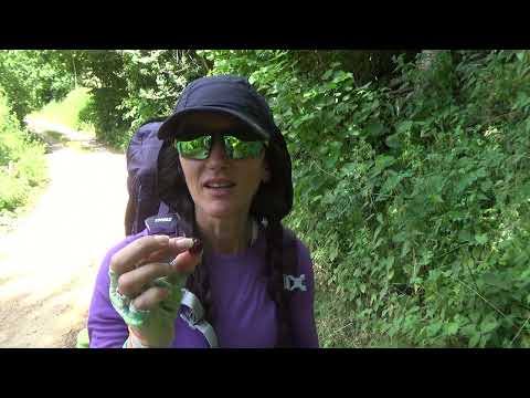 Highlander Montenegro Trek Day3