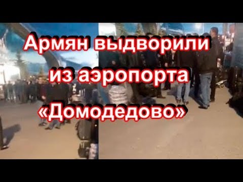 Не дождавшихся помощи от Армении армян выдворили из аэропорта «Домодедово»