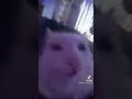 Your So Sussy I Know You Took My Fortnite Card