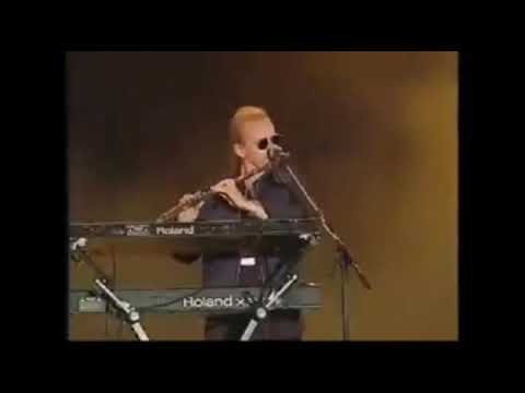 Men at Work Vs Avicii - Remix Mixed by Vj Efraín Hdez