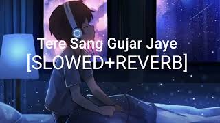Tere Sang Gujar Jaye Slowed+Reverb Song  Lofi Song