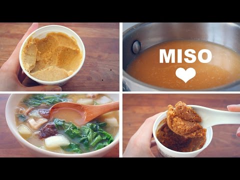 download lagu mp3 mp4 Miso Master Organic How To Use, download lagu Miso Master Organic How To Use gratis, unduh video klip Miso Master Organic How To Use