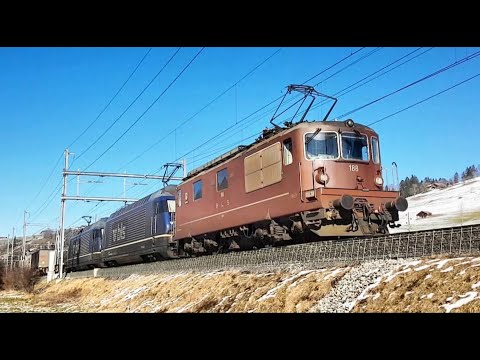 Bahnverkehr in Frutigen, Reichenbach im Kandertal & Spiez
