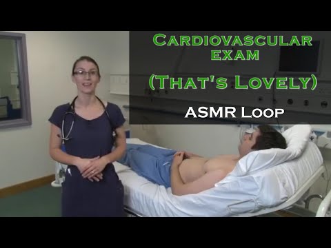 ASMR Loop: That’s Lovely - Cardiovascular Exam – 60 mins