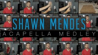 Download lagu Shawn Mendes (ACAPELLA Medley) - In My Blood, Stitches, Lost in Japan, Mercy and MORE! mp3