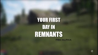Remnants