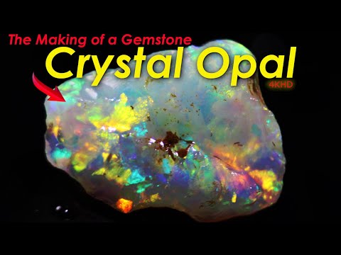 Cutting Prized Crystal Opal Found 25 Years ago Miner retired so we cut it!!