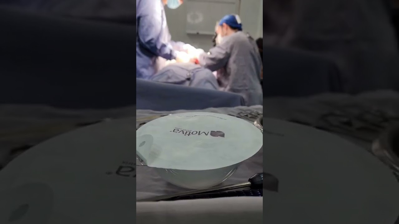 Fernando Gallardo-15