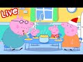 Peppa Wutz LIVE 2024 Ganze Episoden Cartoons Für Kinder Peppa Wutz Neue Folgen 24 7