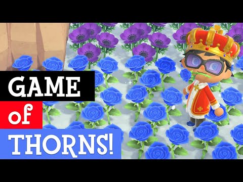 INCREASED chance to get Blue Roses and Green Mums in ACNH - extensive guide