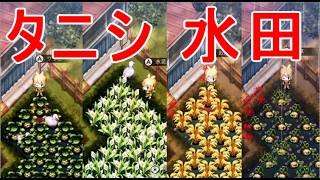 【ほの暮しの庭】タニシ水田に使用・ワサビ・水芭蕉・お米・レンコン攻略実況