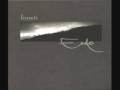 Forseti - Lichterflug 