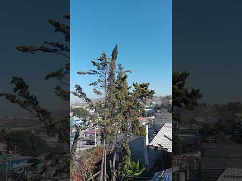 #664 #tijuana #cerrocolorado