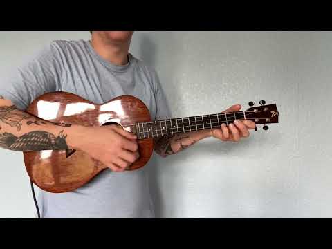 Ashbury AU-24B Baritone Ukulele (with pickup/jack) image 20