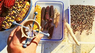 How to MAKE a Corn KERNEL Sheller REMOVER Tool | DIY For ANY Size Cob