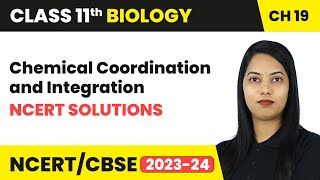 Chemical Coordination and Integration - NCERT Solutions | Class 11 Biology Chapter 19 | CBSE