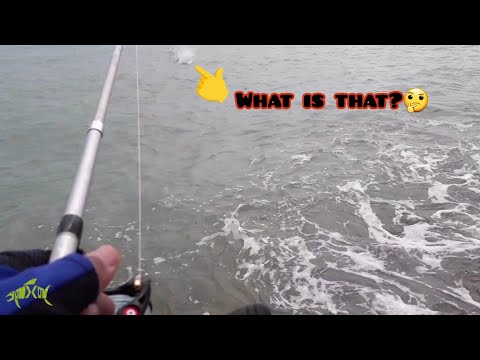 ON X ON #43- New spot to fishing