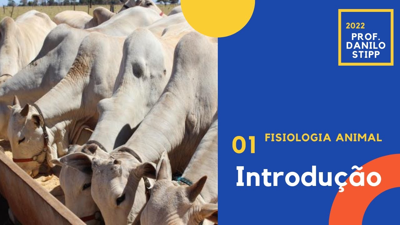 Aula 01 - Introdução à Fisiologia Animal e Conceitos 2022