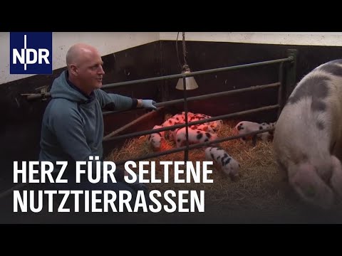 Mutti Fröhlich rockt den Hof | Die Nordreportage | NDR Doku