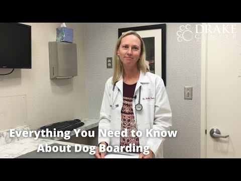 YouTube video about: What to bring for dog boarding?