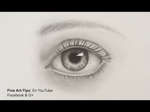 How to Draw a Realistic Eye - With Pencil