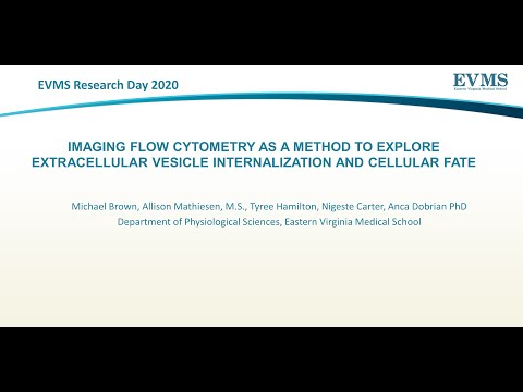 Thumbnail image of video presentation for Imaging Flow Cytometry as a method to explore extracellular vesicle internalization and cellular fate