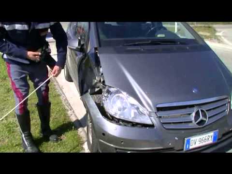 ONDA TG 19.03.2014 - INCIDENTE STRADALE INCROCIO VIA MARANE A SULMONA