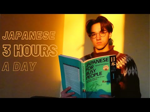 Learning Japanese 3 Hours a Day for 30 Days