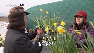 [나는농부다 294회 예고] 꽃부부의 봄날은 온다