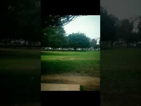 CRUSHING WITH A DISCRAFT Z NUKE OS. 400'+++ HUNTINGTON BEACH DISC GOLF COURSE HOLE 16.