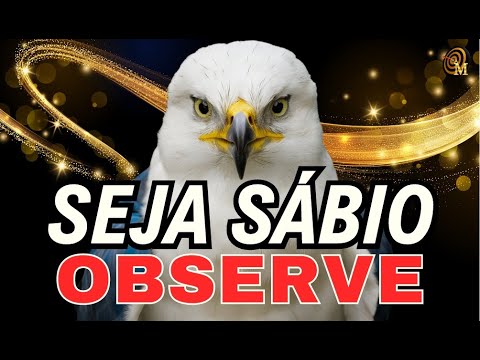 🟢APRENDA A VIVER COM A VIDA | SABEDORIA DOS QUE OBSERVAM