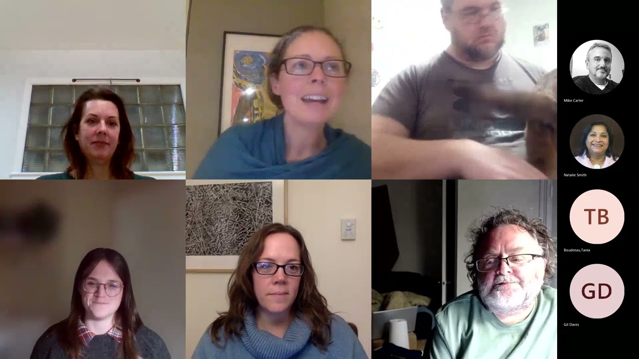 Accessibility Advisory Committee January 10, 2023