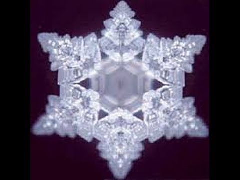 Lebenselixier Wasser   Gesundheit   Granderwasser   Erdstrahlen