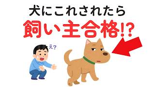 9割が勘違い。犬が“本当に信頼してる人”に見せる仕草7選