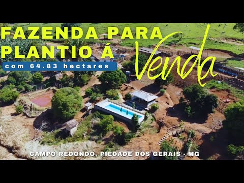 Fazenda para plantio à Venda com 64.83 hectares - Campo Redondo, Piedade dos Gerais MG