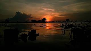 Download lagu Story wa, damai bersamamu (chrisye , Felix cover) mp3 Download lagu Story wa, damai bersamamu (chrisye , Felix cover) mp3