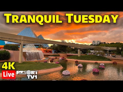🔴4K Live: Tranquil Tuesday at Epcot in 4K  - Walt Disney World Live Stream - 6-17-25