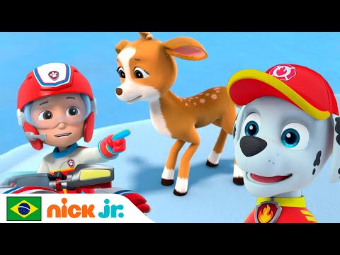 Capa de Patrulha Canina | O resgate na montanha | Nick Jr. em Português