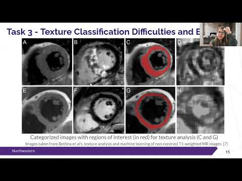 Texture Image Analysis & Classification - Project Video