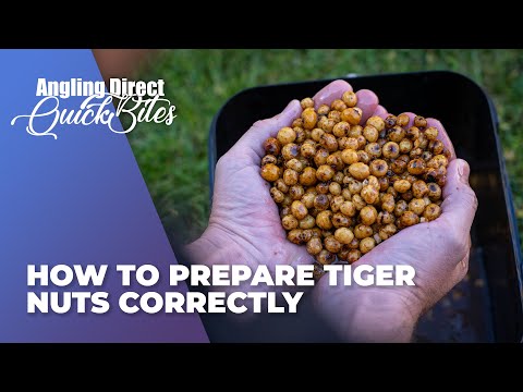 Wie man Tigernüsse richtig zubereitet - Karpfenangeln Quickbite